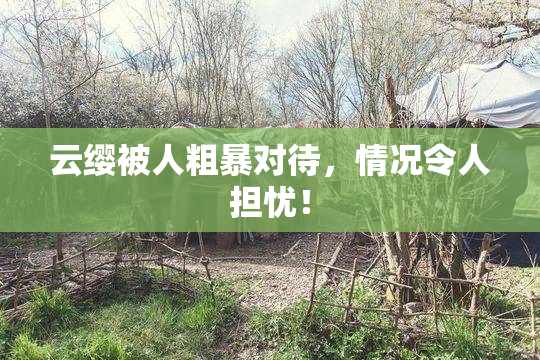 云缨被人粗暴对待，情况令人担忧！