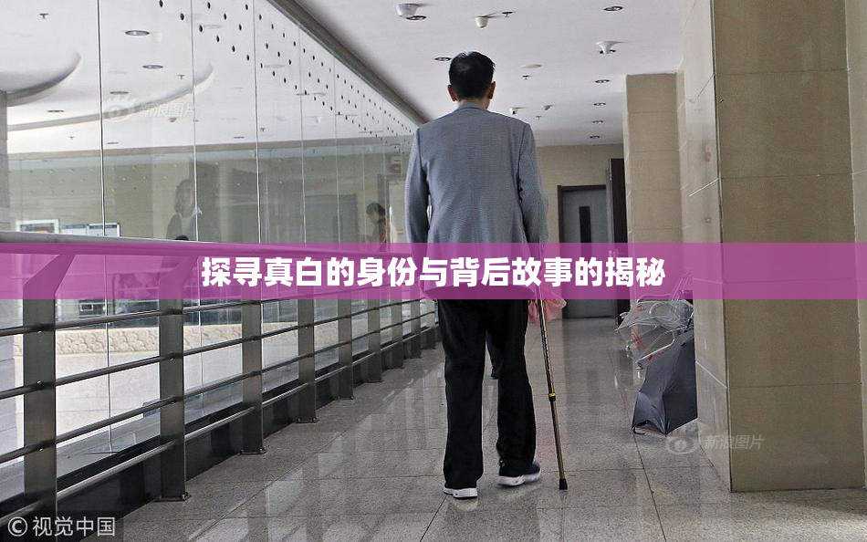 探寻真白的身份与背后故事的揭秘