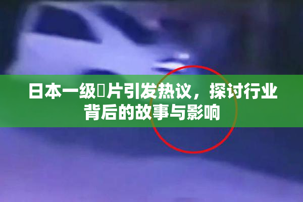 日本一级婬片引发热议，探讨行业背后的故事与影响