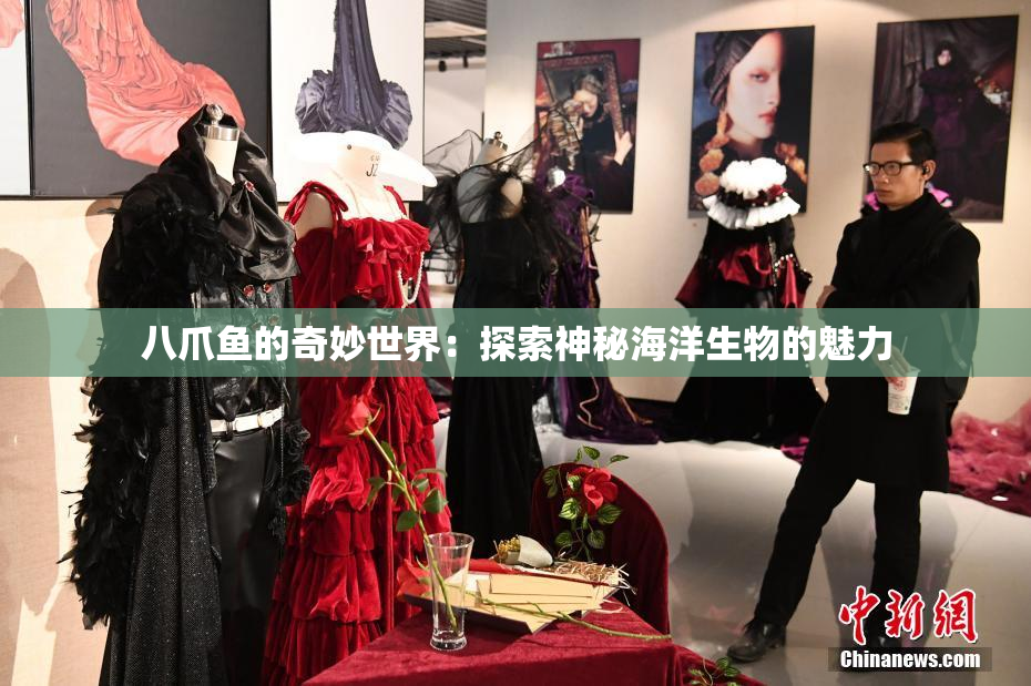 八爪鱼的奇妙世界：探索神秘海洋生物的魅力