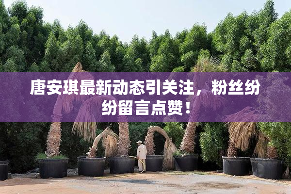 唐安琪最新动态引关注，粉丝纷纷留言点赞！