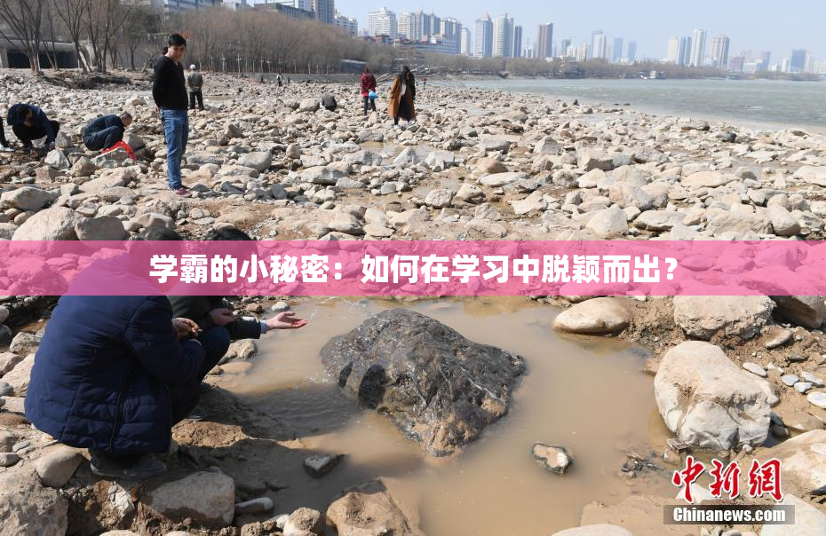 学霸的小秘密：如何在学习中脱颖而出？