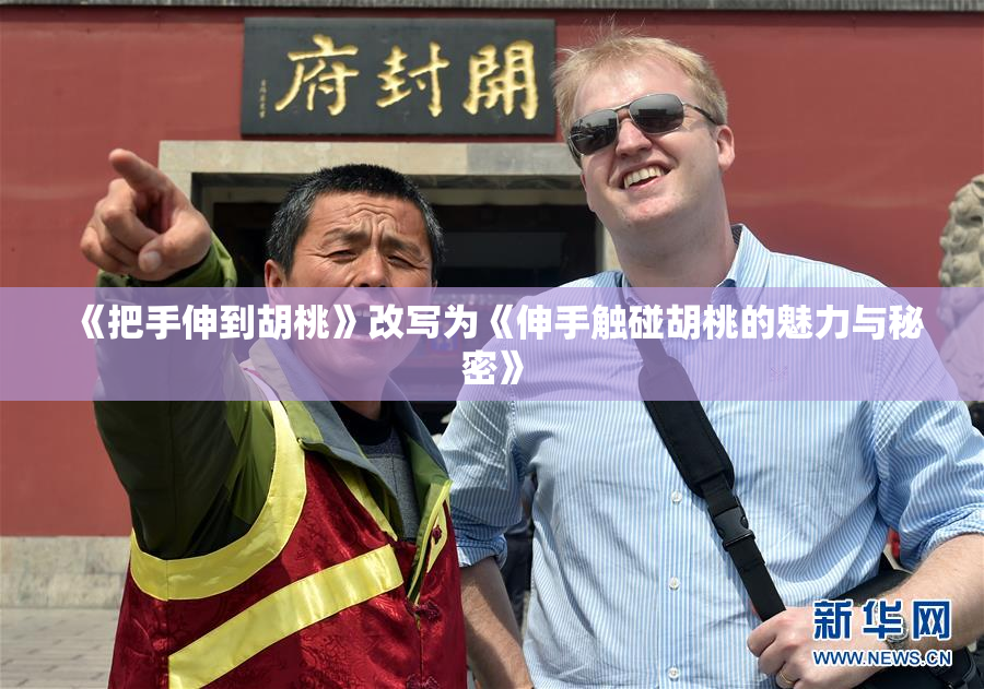 《把手伸到胡桃》改写为《伸手触碰胡桃的魅力与秘密》
