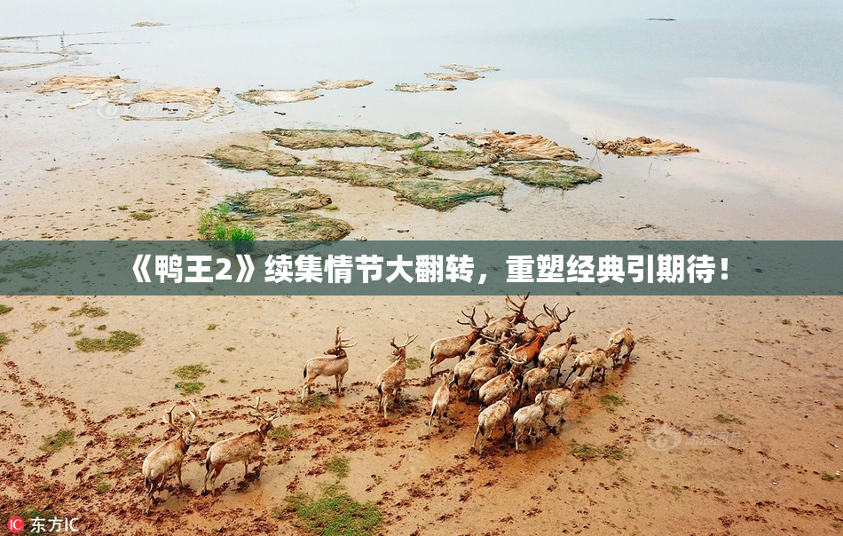 《鸭王2》续集情节大翻转，重塑经典引期待！