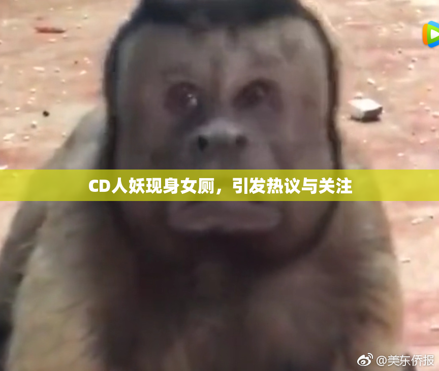 CD人妖现身女厕，引发热议与关注