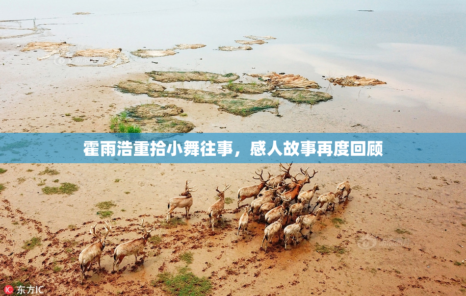 霍雨浩重拾小舞往事，感人故事再度回顾