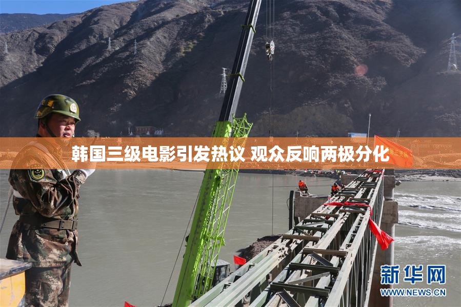 韩国三级电影引发热议 观众反响两极分化