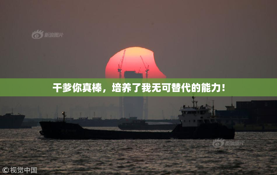 干爹你真棒，培养了我无可替代的能力！