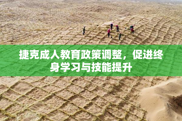 捷克成人教育政策调整，促进终身学习与技能提升