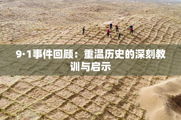 9·1事件回顾：重温历史的深刻教训与启示