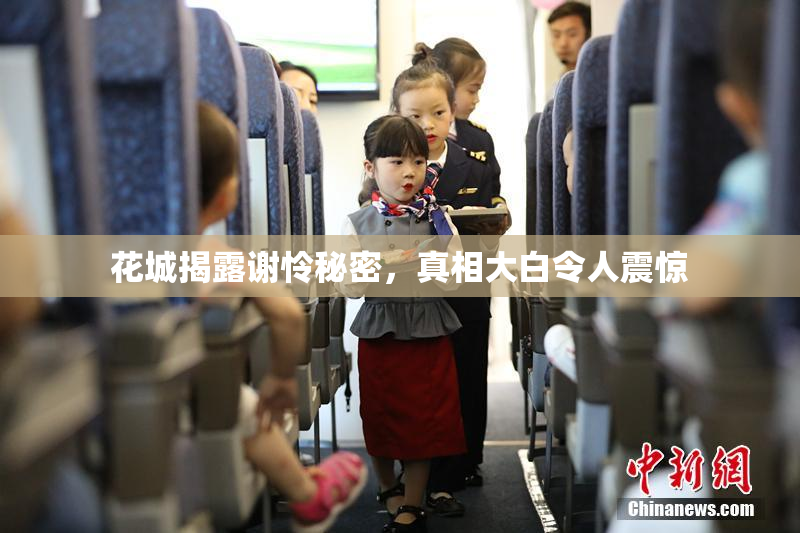 花城揭露谢怜秘密，真相大白令人震惊