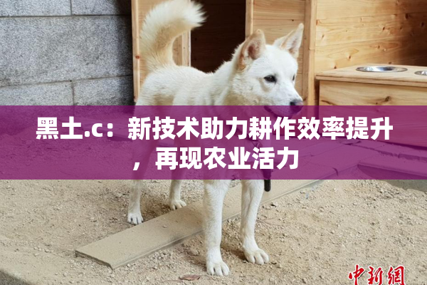 黑土.c：新技术助力耕作效率提升，再现农业活力