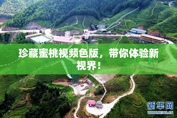 珍藏蜜桃视频色版，带你体验新视界！