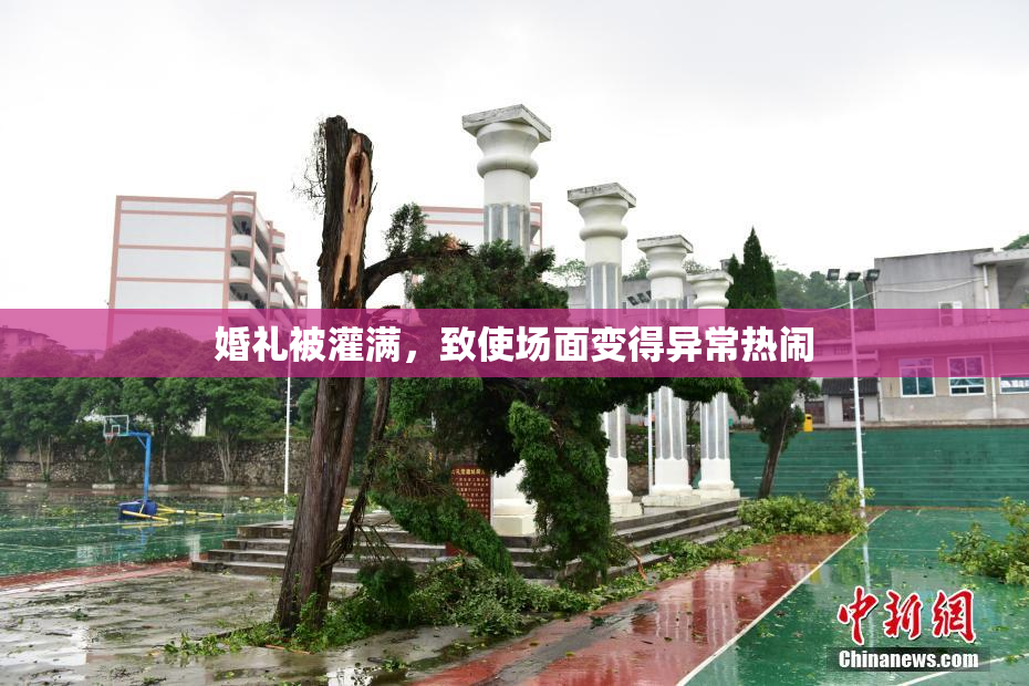 婚礼被灌满，致使场面变得异常热闹