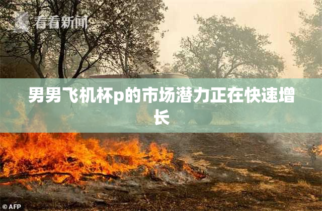 男男飞机杯p的市场潜力正在快速增长