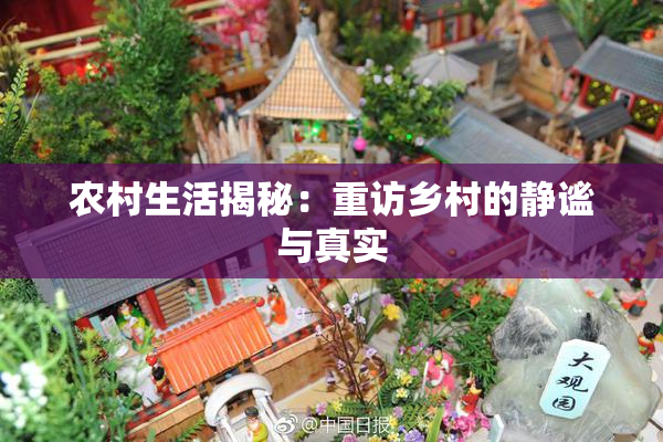 农村生活揭秘：重访乡村的静谧与真实