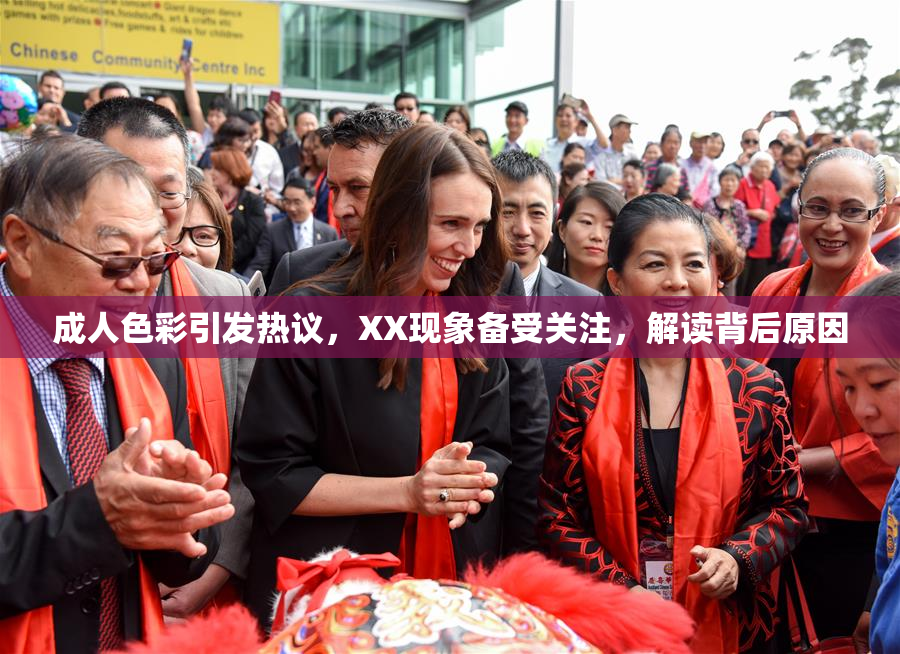 成人色彩引发热议，XX现象备受关注，解读背后原因
