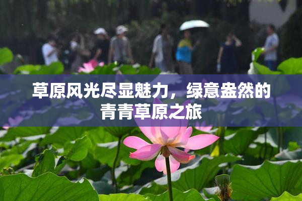 草原风光尽显魅力，绿意盎然的青青草原之旅