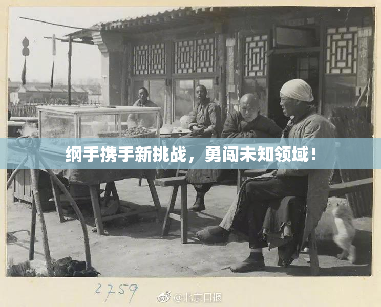 纲手携手新挑战，勇闯未知领域！