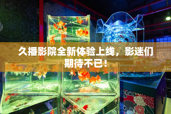 久播影院全新体验上线，影迷们期待不已！