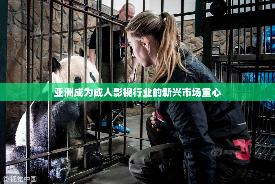 亚洲成为成人影视行业的新兴市场重心