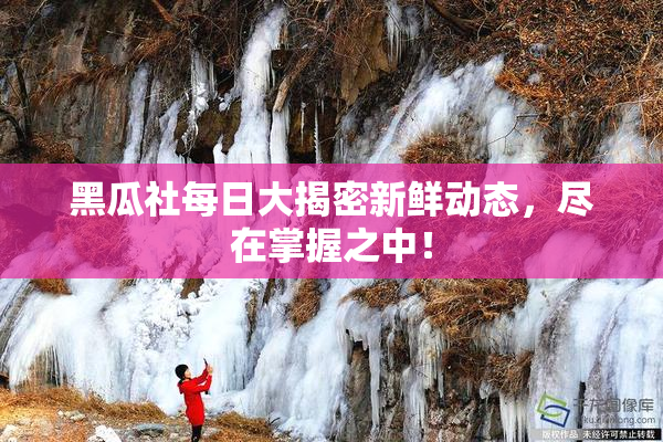 黑瓜社每日大揭密新鲜动态，尽在掌握之中！