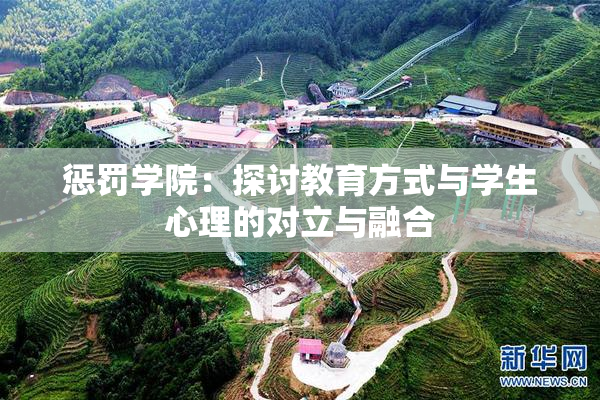 惩罚学院：探讨教育方式与学生心理的对立与融合