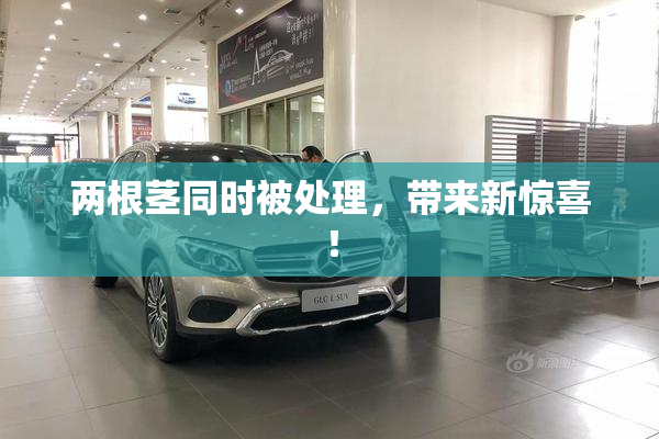 两根茎同时被处理，带来新惊喜！