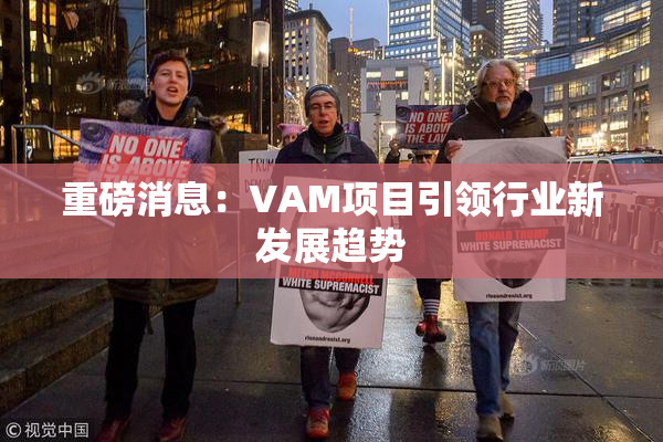 重磅消息：VAM项目引领行业新发展趋势