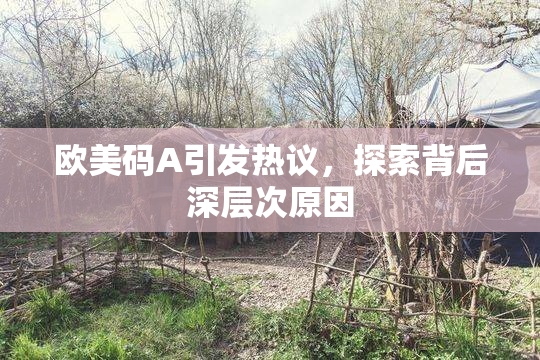欧美码A引发热议，探索背后深层次原因