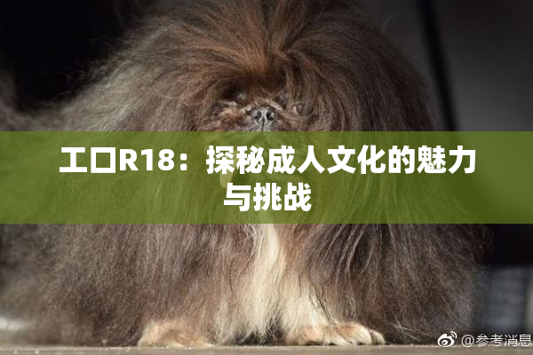 工口R18：探秘成人文化的魅力与挑战