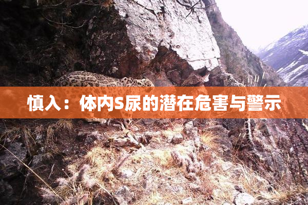 慎入：体内S尿的潜在危害与警示