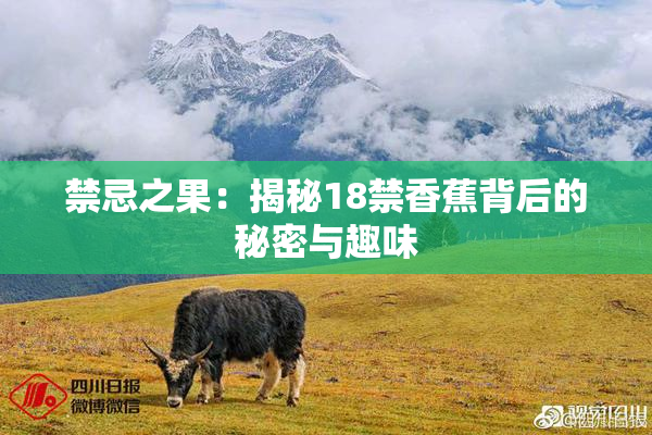 禁忌之果：揭秘18禁香蕉背后的秘密与趣味