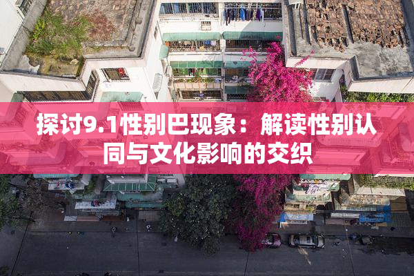 探讨9.1性别巴现象：解读性别认同与文化影响的交织