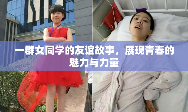 一群女同学的友谊故事，展现青春的魅力与力量