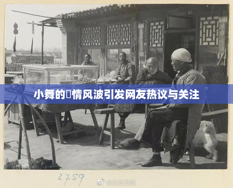 小舞的婬情风波引发网友热议与关注