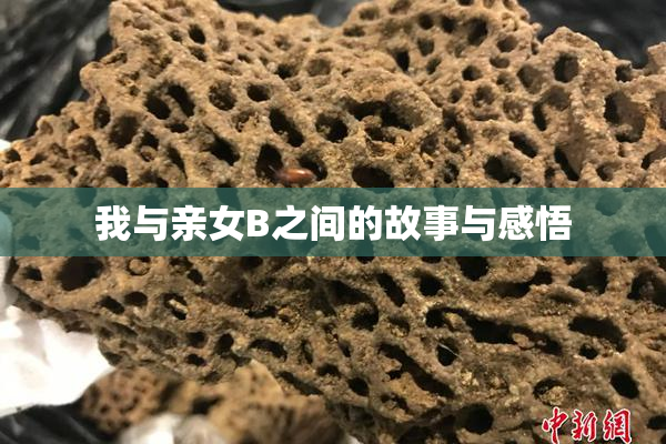 我与亲女B之间的故事与感悟