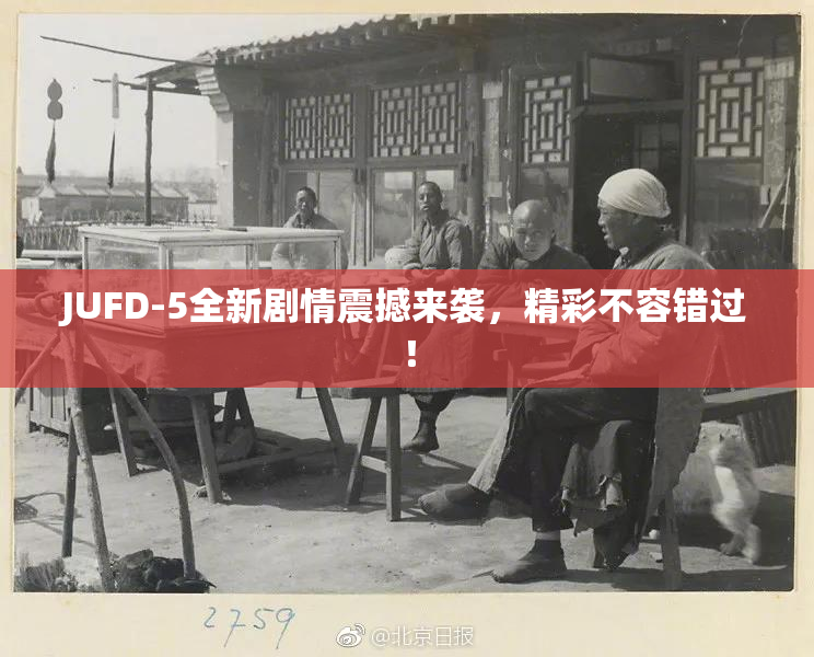 JUFD-5全新剧情震撼来袭，精彩不容错过！