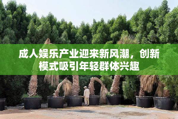 成人娱乐产业迎来新风潮，创新模式吸引年轻群体兴趣