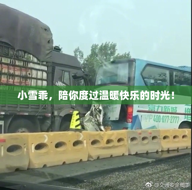 小雪乖，陪你度过温暖快乐的时光！