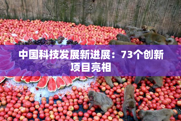 中国科技发展新进展：73个创新项目亮相