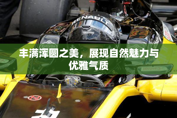 丰满浑圆之美，展现自然魅力与优雅气质