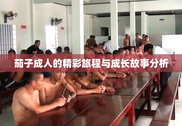 茄子成人的精彩旅程与成长故事分析
