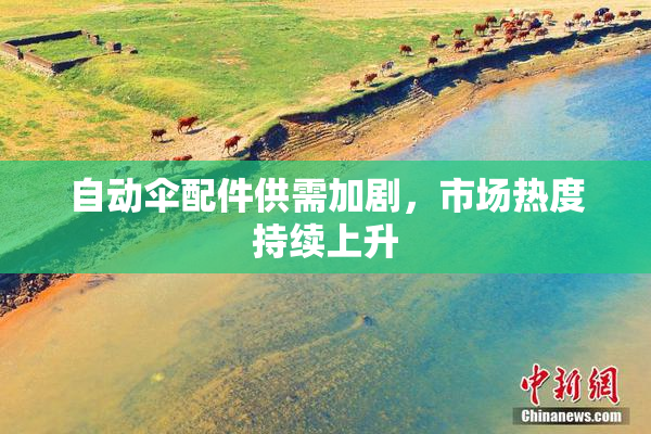 自动伞配件供需加剧，市场热度持续上升