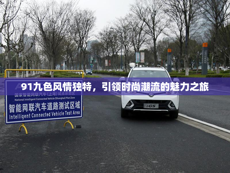 91九色风情独特，引领时尚潮流的魅力之旅
