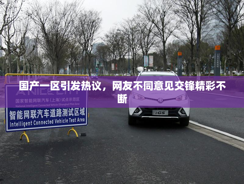 国产一区引发热议，网友不同意见交锋精彩不断