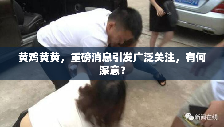 黄鸡黄黄，重磅消息引发广泛关注，有何深意？