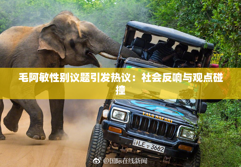 毛阿敏性别议题引发热议：社会反响与观点碰撞
