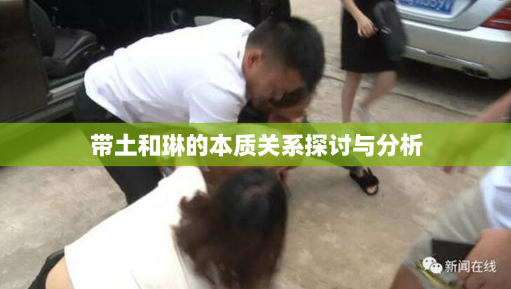 带土和琳的本质关系探讨与分析