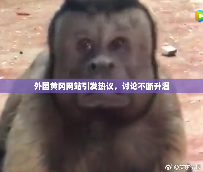 外国黄冈网站引发热议，讨论不断升温